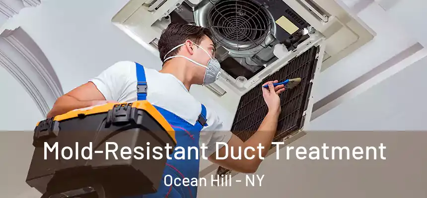 Mold-Resistant Duct Treatment Ocean Hill - NY