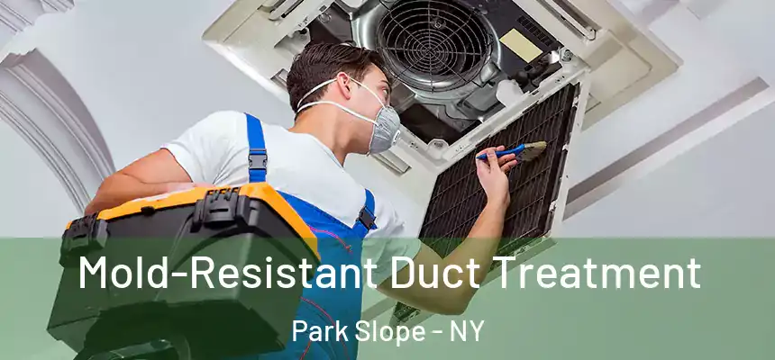 Mold-Resistant Duct Treatment Park Slope - NY