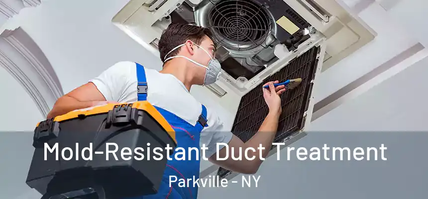Mold-Resistant Duct Treatment Parkville - NY