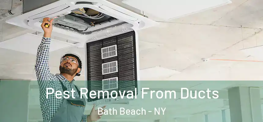  Pest Removal From Ducts Bath Beach - NY