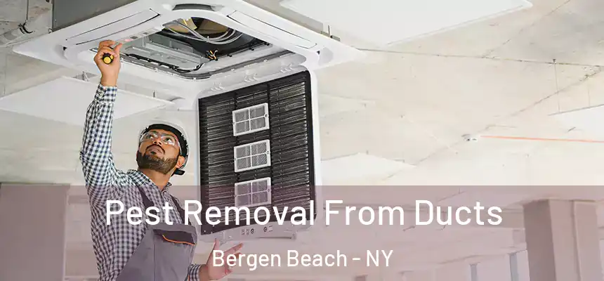 Pest Removal From Ducts Bergen Beach - NY