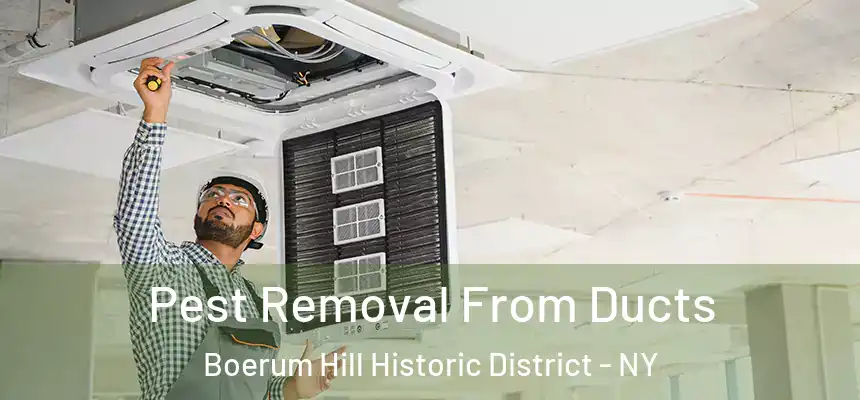 Pest Removal From Ducts Boerum Hill Historic District - NY