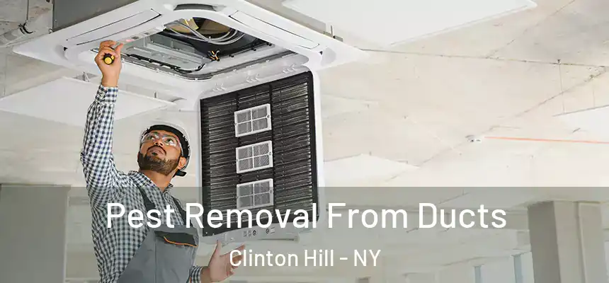 Pest Removal From Ducts Clinton Hill - NY