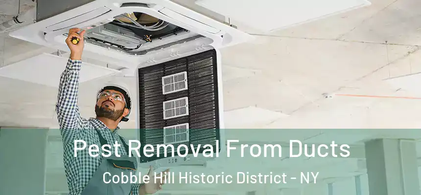 Pest Removal From Ducts Cobble Hill Historic District - NY