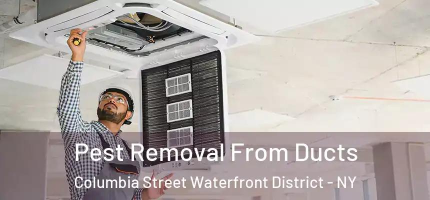 Pest Removal From Ducts Columbia Street Waterfront District - NY