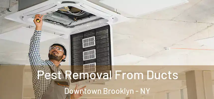 Pest Removal From Ducts Downtown Brooklyn - NY