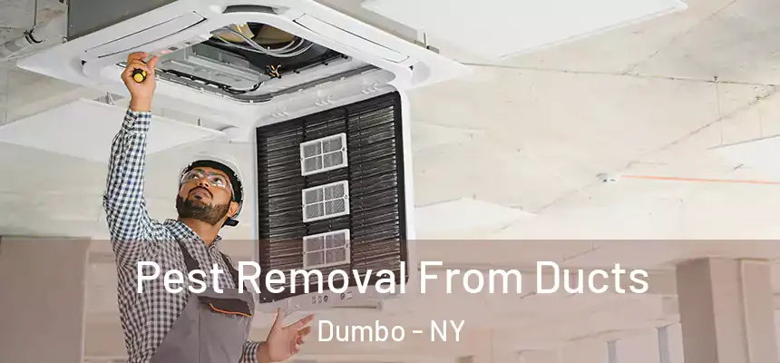 Pest Removal From Ducts Dumbo - NY
