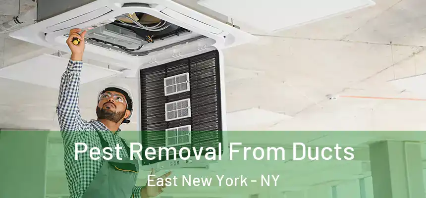 Pest Removal From Ducts East New York - NY