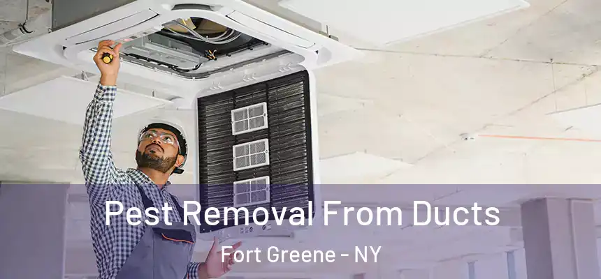 Pest Removal From Ducts Fort Greene - NY