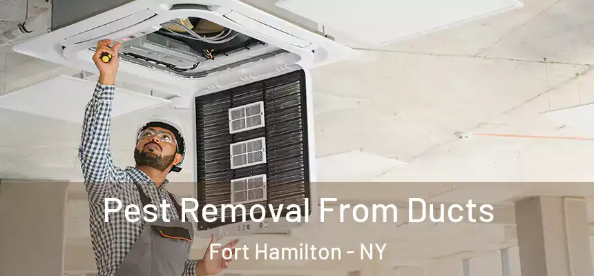Pest Removal From Ducts Fort Hamilton - NY