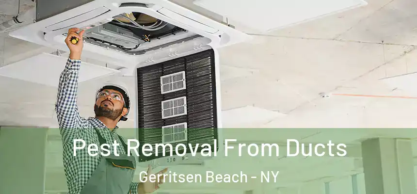Pest Removal From Ducts Gerritsen Beach - NY