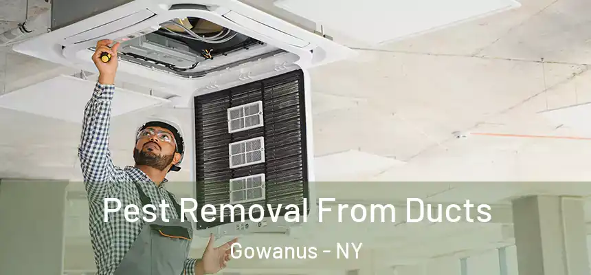 Pest Removal From Ducts Gowanus - NY