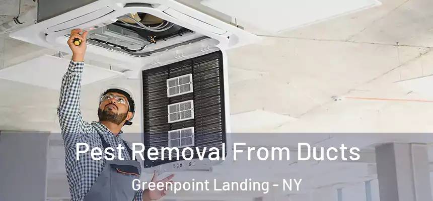 Pest Removal From Ducts Greenpoint Landing - NY