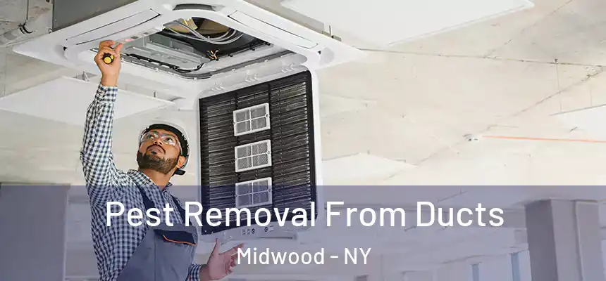 Pest Removal From Ducts Midwood - NY