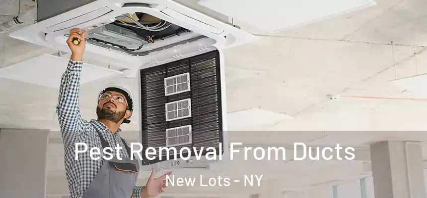 Pest Removal From Ducts New Lots - NY