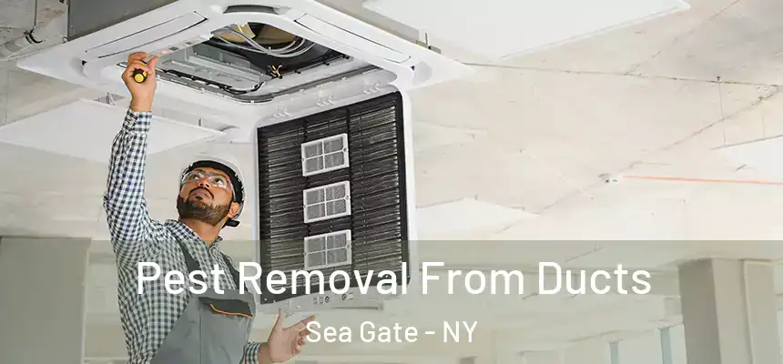 Pest Removal From Ducts Sea Gate - NY