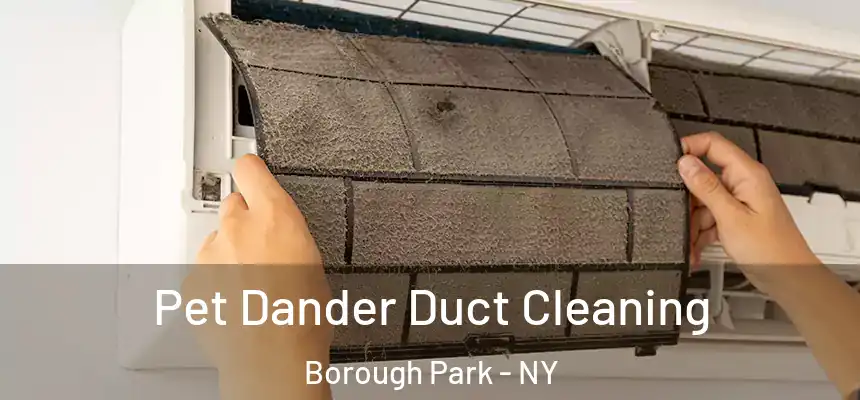 Pet Dander Duct Cleaning Borough Park - NY