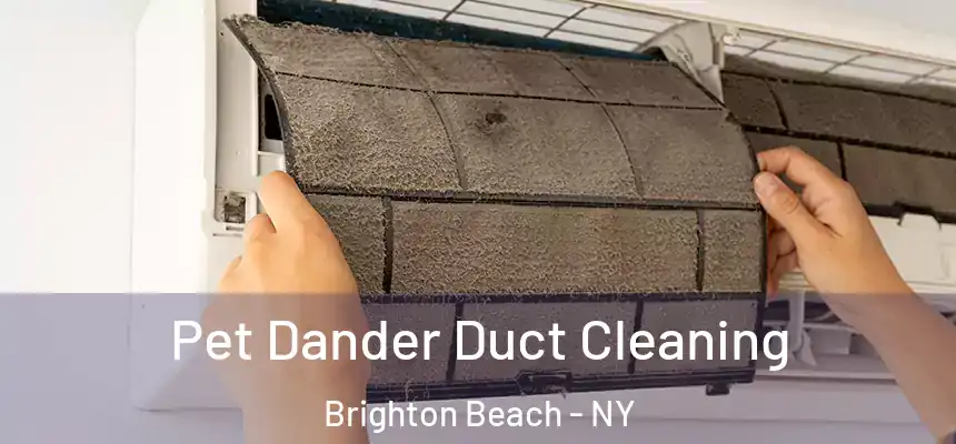 Pet Dander Duct Cleaning Brighton Beach - NY