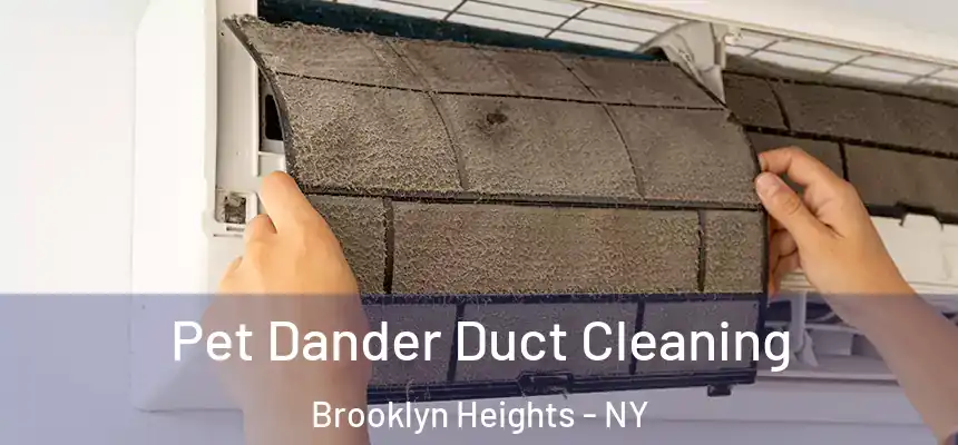 Pet Dander Duct Cleaning Brooklyn Heights - NY