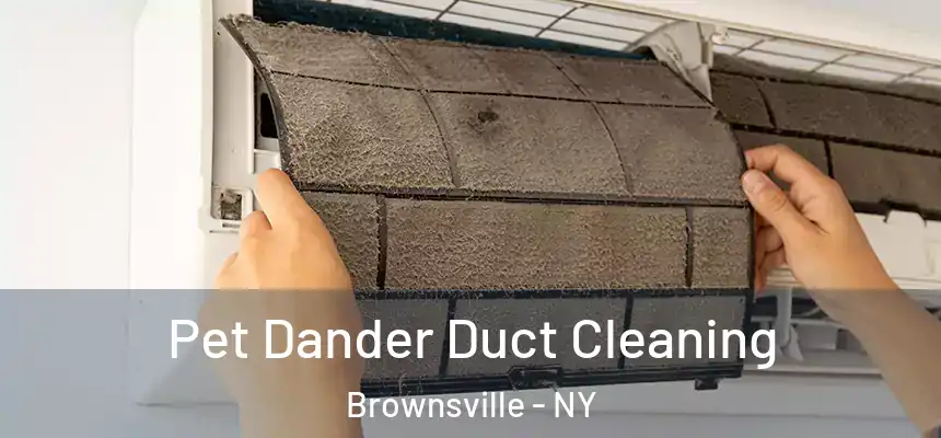 Pet Dander Duct Cleaning Brownsville - NY