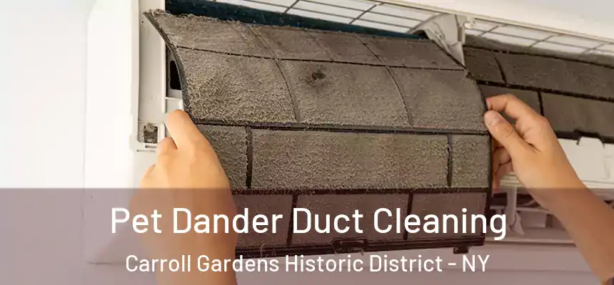 Pet Dander Duct Cleaning Carroll Gardens Historic District - NY
