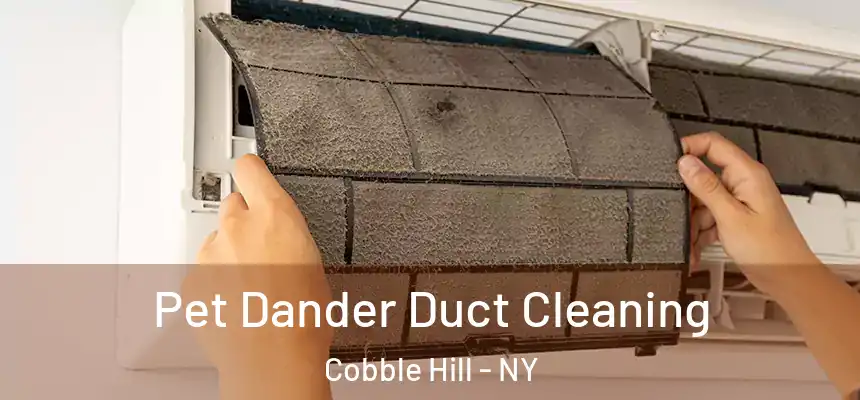 Pet Dander Duct Cleaning Cobble Hill - NY