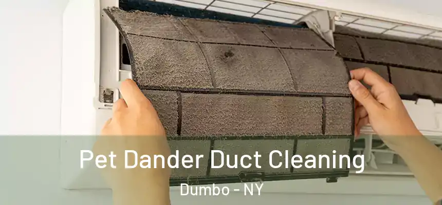Pet Dander Duct Cleaning Dumbo - NY