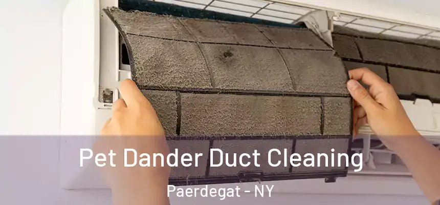 Pet Dander Duct Cleaning Paerdegat - NY