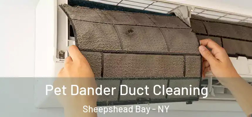 Pet Dander Duct Cleaning Sheepshead Bay - NY