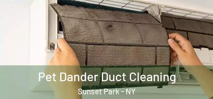 Pet Dander Duct Cleaning Sunset Park - NY