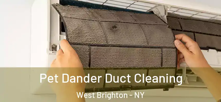 Pet Dander Duct Cleaning West Brighton - NY