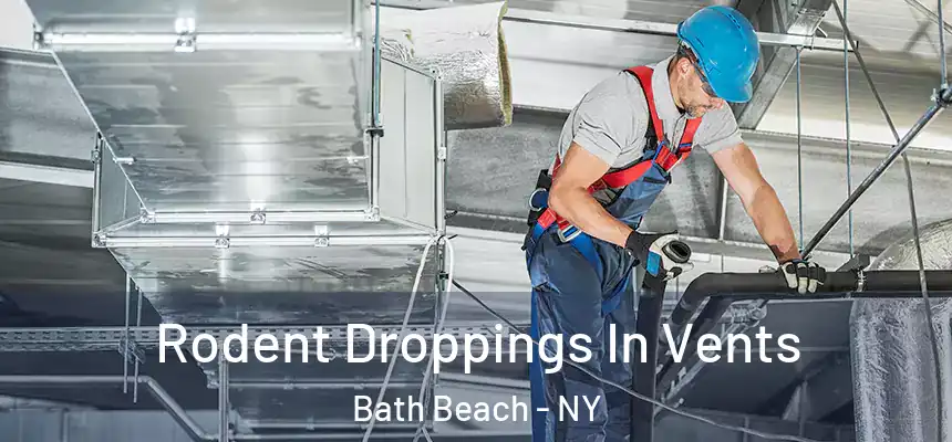  Rodent Droppings In Vents Bath Beach - NY