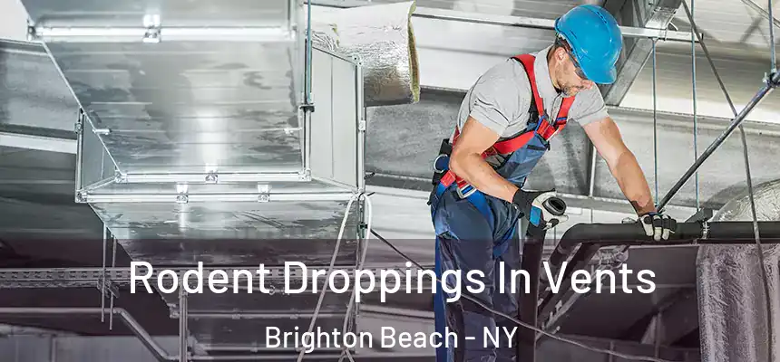 Rodent Droppings In Vents Brighton Beach - NY