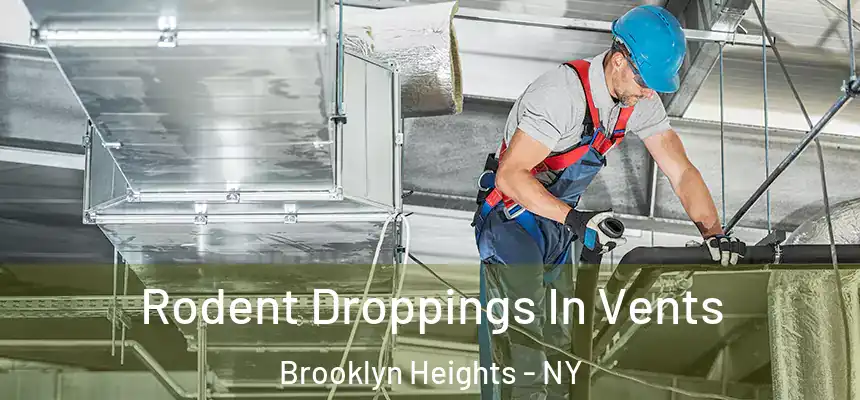 Rodent Droppings In Vents Brooklyn Heights - NY