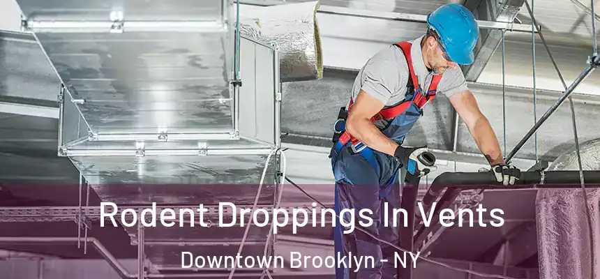 Rodent Droppings In Vents Downtown Brooklyn - NY