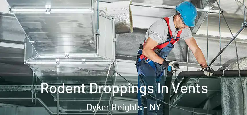 Rodent Droppings In Vents Dyker Heights - NY
