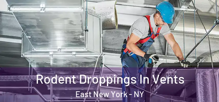 Rodent Droppings In Vents East New York - NY