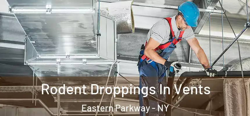 Rodent Droppings In Vents Eastern Parkway - NY