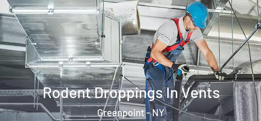  Rodent Droppings In Vents Greenpoint - NY