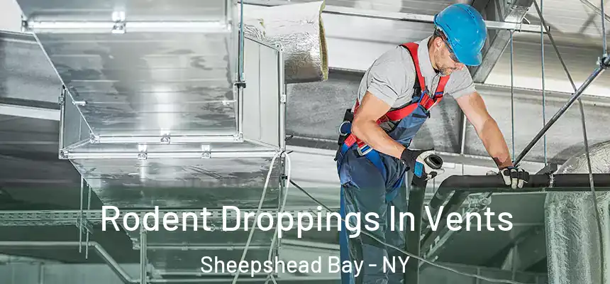  Rodent Droppings In Vents Sheepshead Bay - NY