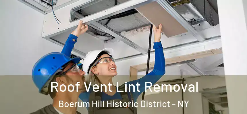 Roof Vent Lint Removal Boerum Hill Historic District - NY