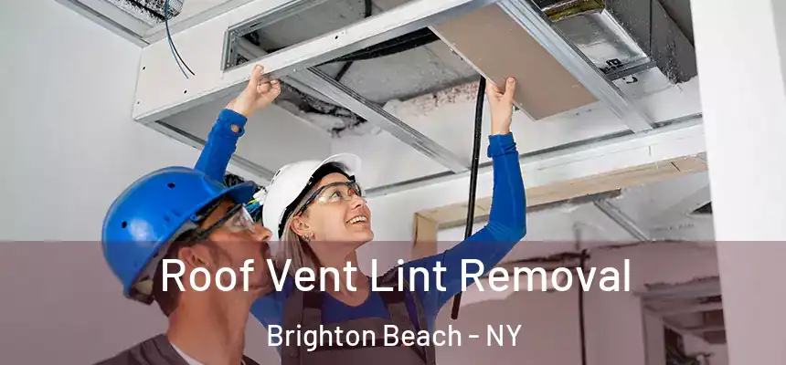  Roof Vent Lint Removal Brighton Beach - NY