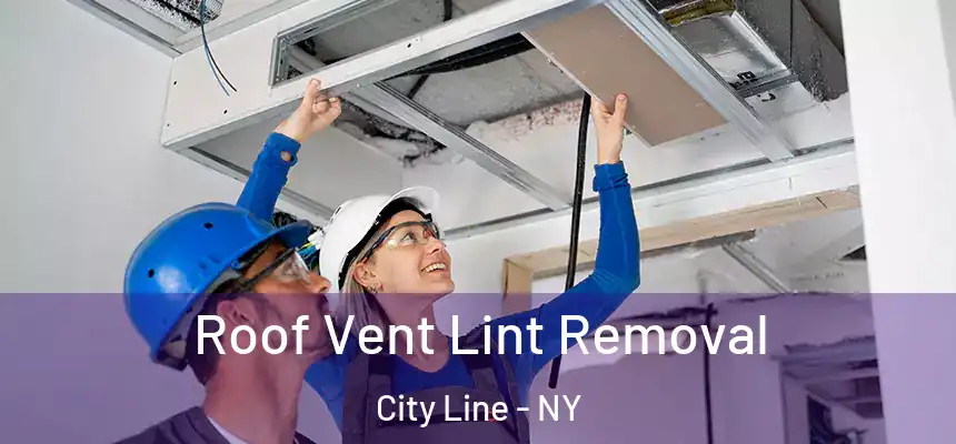Roof Vent Lint Removal City Line - NY