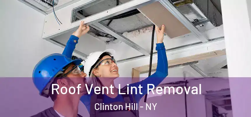 Roof Vent Lint Removal Clinton Hill - NY