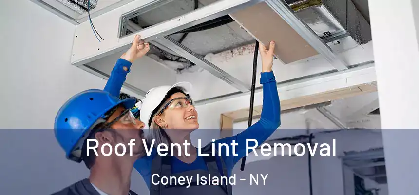 Roof Vent Lint Removal Coney Island - NY