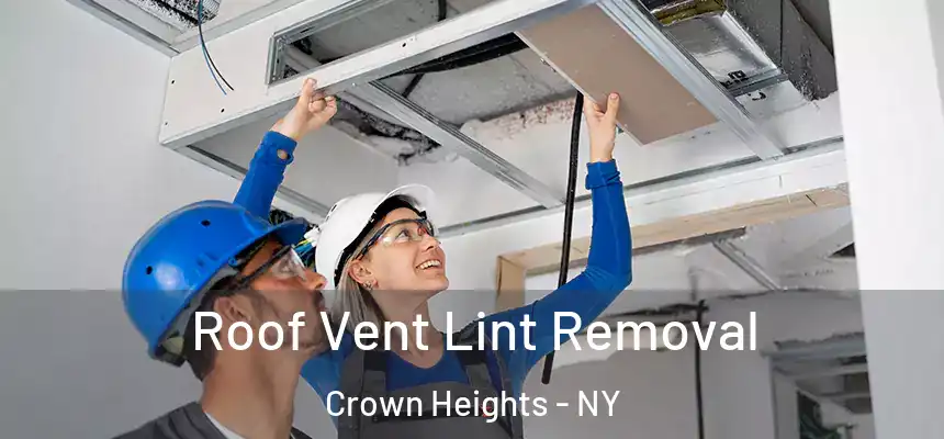 Roof Vent Lint Removal Crown Heights - NY