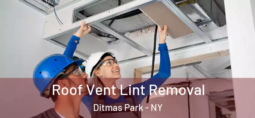 Roof Vent Lint Removal Ditmas Park - NY