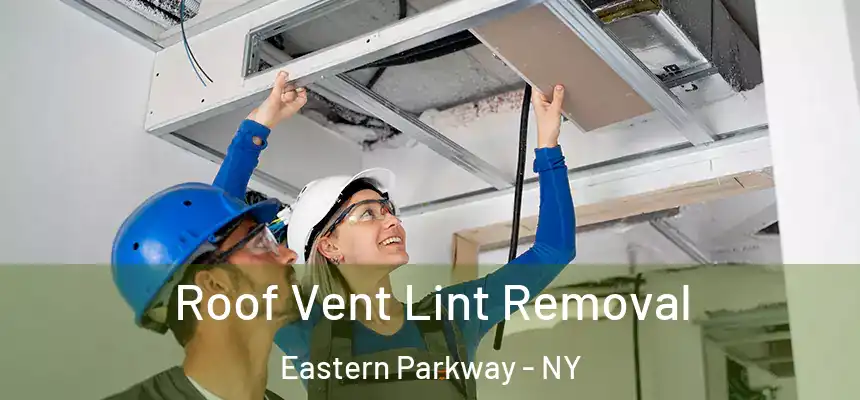 Roof Vent Lint Removal Eastern Parkway - NY