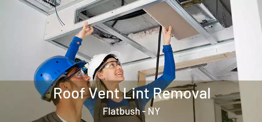 Roof Vent Lint Removal Flatbush - NY