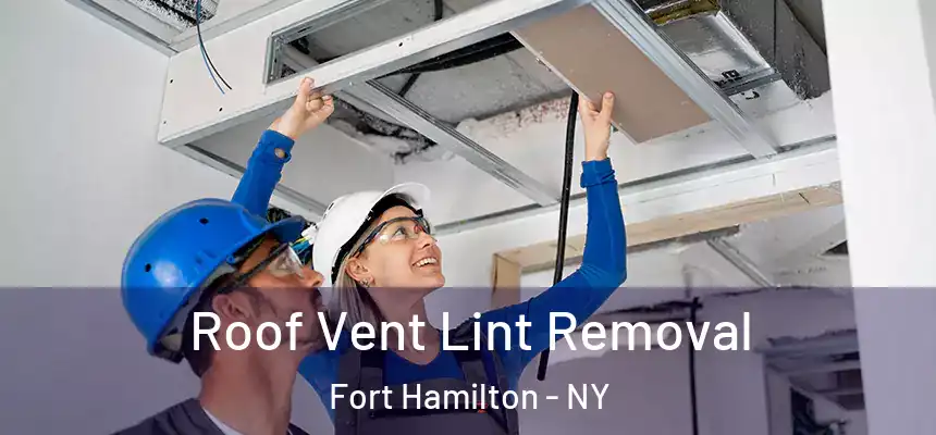 Roof Vent Lint Removal Fort Hamilton - NY